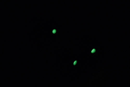 Guarder Steel Luminous Sight Set for MARUI P226/E2 - Image 3
